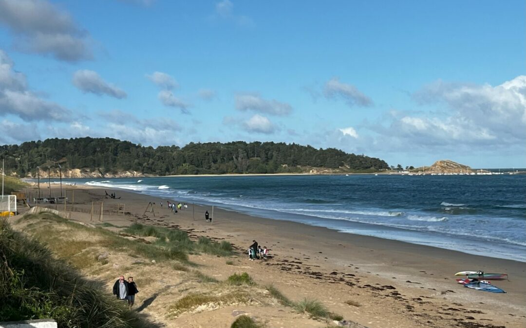 Journée aux Sables d’Or, nettoyons la nature !