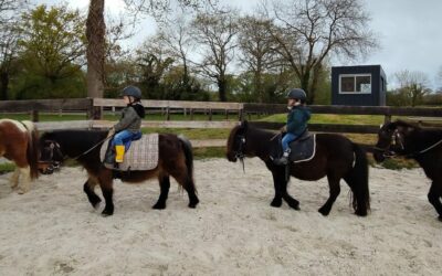 Séances de poneys